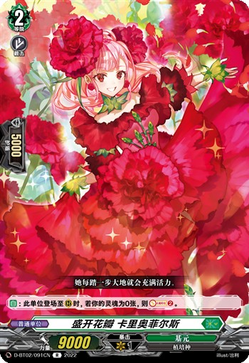 盛开花瓣 卡里奥菲尔斯