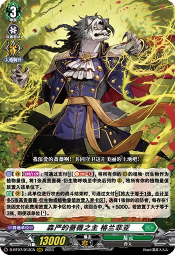 森严的蔷薇之主 格兰菲亚