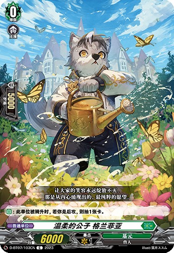 温柔的公子 格兰菲亚