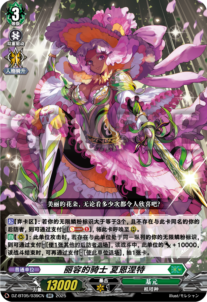 丽容的骑士 夏恩涅特