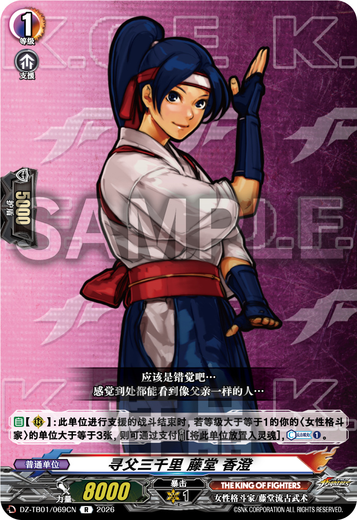 寻父三千里 藤堂 香澄